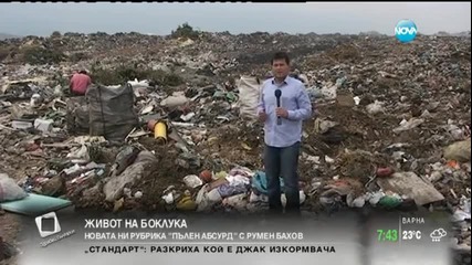 Пълен абсурд - Живот на боклука - Здравей, България (08.09.2014г.)