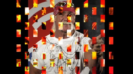 Hulk Hogan 