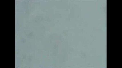 Отнесе Камерата