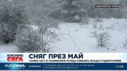 Майски сняг и пътни проблеми