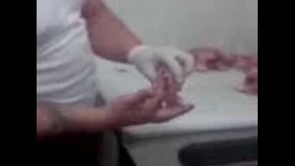 той няма око / жорката в лагуна лято 2009