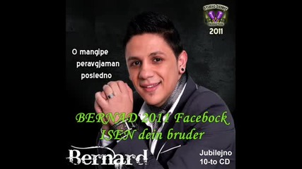 Bernad 2011 new album - wmv.dj.pirata.3