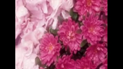 Flowers *(цветя)* ;p 