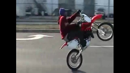 wild0ut wheelie b0yz
