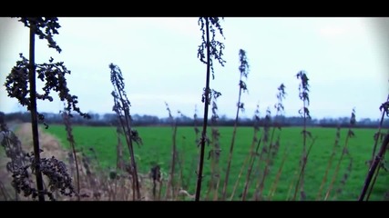 Mirrored In Secrecy - Mortality ( 2012 )