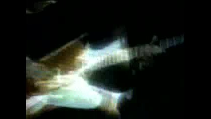 Great White - Lovin Kind 