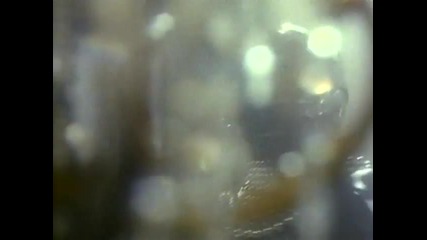 Whitney Houston - Queen Of The Night