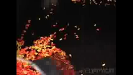 Falling Into Fall