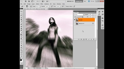 Photoshop Top Lessons - 12. Masking Images