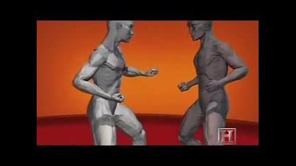 Human Weapon - Karate Body Punch