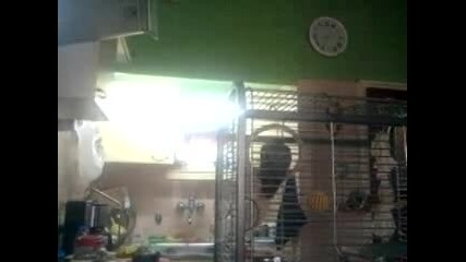 Video-0001