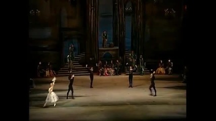 Spanish Dance Swan lake