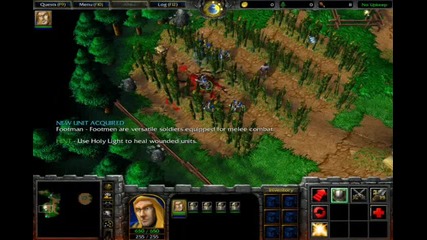 Warcraft 3 Reign Of Chaos Bug