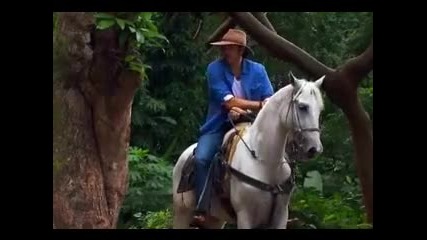 La Sombra del Pasado Capitulo 7
