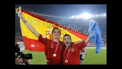 Fernando Torres Y David Villa