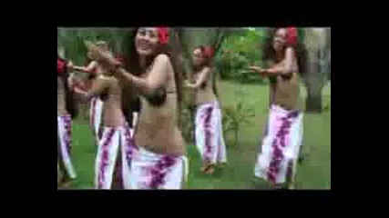 Paradise Tamure