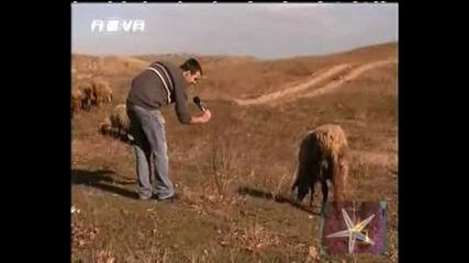 Овчи капризи - Господари на ефира,  20.04.2009