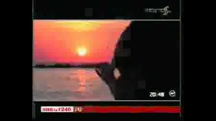 Sorinel Pustiu - Inima Imi Cere