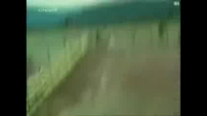 Малко смях :]
