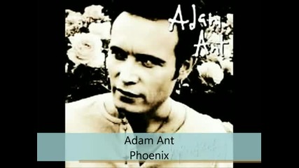 Adam Ant - Wonderful - Phoenix