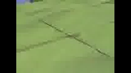 Naruto Lee