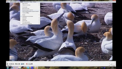 Урок за Vlc player - видео (раздел 5, част 2).avi
