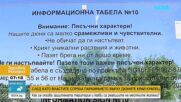 Властите спряха паркирането върху дюните край Крапец