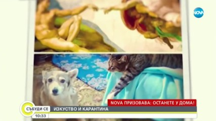 ПО ВРЕМЕ НА ПАНДЕМИЯ: Музеите отправиха ново предизвикателство към хората по света