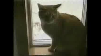 Тъпи Животни 4