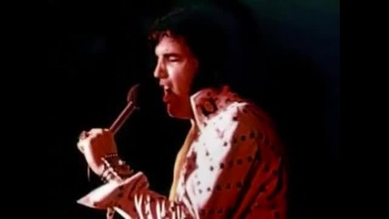 Elvis Presley I'll Never Fall In Love Again