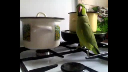 -мирише вкусно,а съм гладен