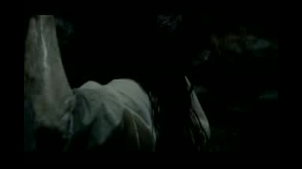 the ring 2 reichal zatvarq samara