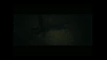 The True Titanic