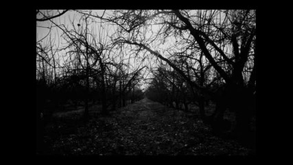 Uaral - La vaga Esperanza de ser