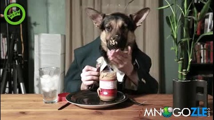 Куче човек закусва и пръска от смях