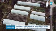 Облекчени трудови договори за сезонни работници в земеделието