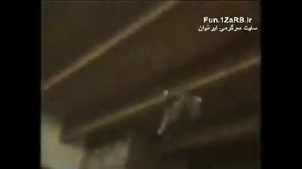 funny cats smqh