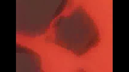 Naruto - _until The Day I Die_