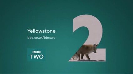Лисица лови животно в снега - Bbc Two 