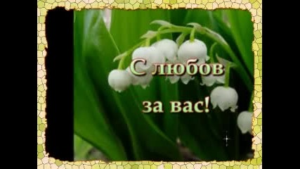 Цвят от момина сълза