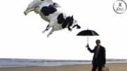 Виждали ли сте дъжд от крави? Най-странните неща падали от небето!