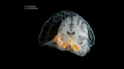 Невероятната Човешка Машина - Костите и Мозъкът National Geographic ( Бг Аудио ) 