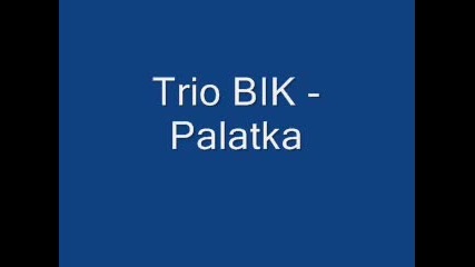 Trio Bik - Palatka 