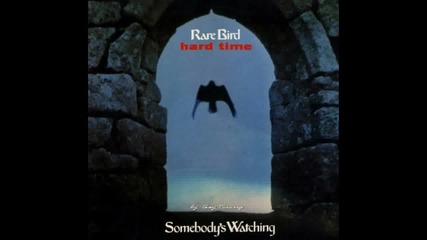 Rare Bird - hard time
