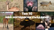 Топ 10 на най-странните създания на планетата