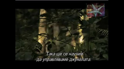 Тайните градове на Амазония (част 4) (бг субтитри) 
