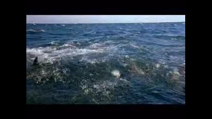 Bbc Blue Planet еп 1 част 1 Bg Audio) ) 