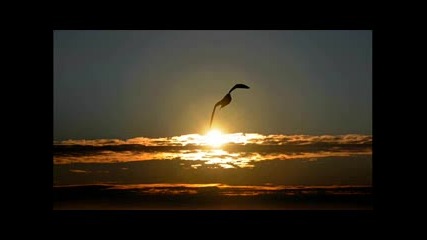 The Sound From Above - 012 (progressive/house/trance)