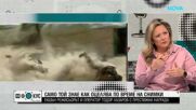 Екшън режисьорът и оператор Тодор Лазаров с престижна награда