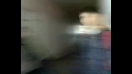 Видео - 0005